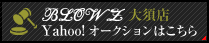 BLOWZ{XYahoo!I[NV͂